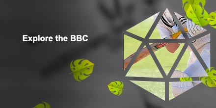 Bbc sport cricket
