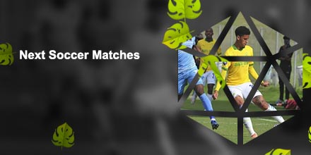 Hollywood soccer results