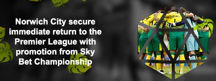 Norwich city promotion