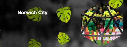 Norwich city transfermarkt