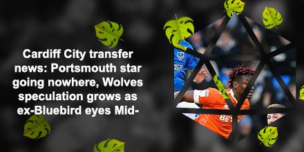 Portsmouth transfer news
